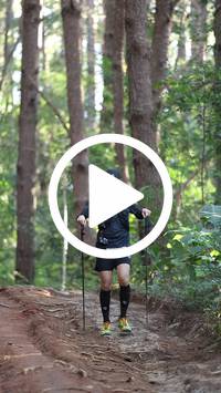 BIB:  <button type="button" onclick="openModal(26569939)" class="btn btn-primary btn-sm float-right" data-toggle="modal" data-target=".modal-high-quality">
                <i class="fa fa-download"></i> Download
                </button>